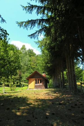 Planinska kuća Palačinka